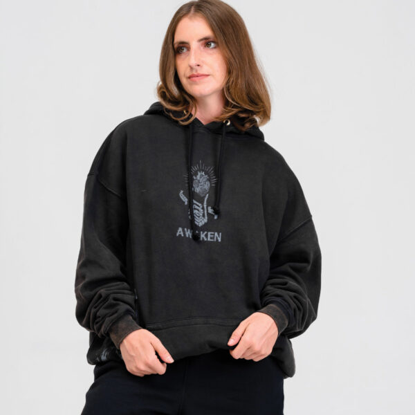 The Origin Hoodie